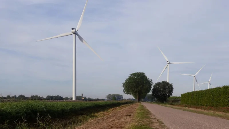 Windturbines van een windpark aan de Zilverlandseweg bij Lienden.
